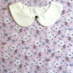 ���̑��̉摜