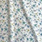 ���̑��̉摜