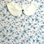 ���̑��̉摜