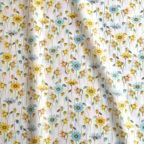 ���̑��̉摜