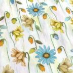 ���̑��̉摜