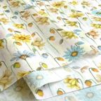 ���̑��̉摜