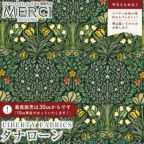 ���̑��̉摜