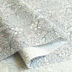 ���̑��̉摜