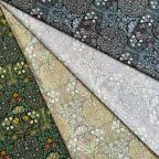 ���̑��̉摜