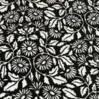 ���̑��̉摜