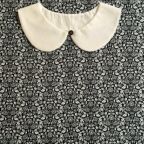 ���̑��̉摜