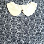 ���̑��̉摜