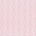 ���̑��̉摜