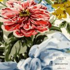 ���̑��̉摜