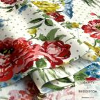 ���̑��̉摜