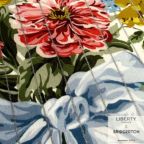 ���̑��̉摜