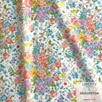 ���̑��̉摜