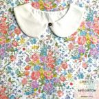 ���̑��̉摜