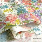 ���̑��̉摜