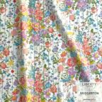 ���̑��̉摜