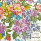 ���̑��̉摜