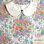 ���̑��̉摜