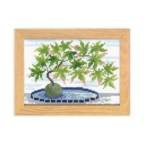 ���̑��̉摜