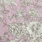 ���̑��̉摜