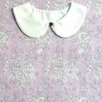 ���̑��̉摜