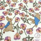 ���̑��̉摜