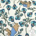 ���̑��̉摜