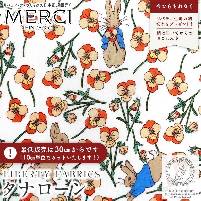 ���̑��̉摜