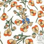 ���̑��̉摜