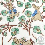 ���̑��̉摜