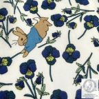 ���̑��̉摜