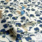 ���̑��̉摜