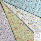 ���̑��̉摜