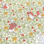 ���̑��̉摜