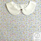 ���̑��̉摜