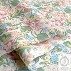 ���̑��̉摜