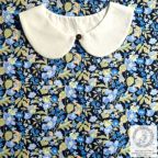 ���̑��̉摜