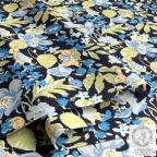 ���̑��̉摜