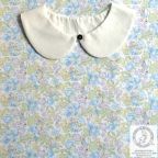 ���̑��̉摜