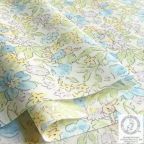 ���̑��̉摜