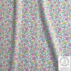 ���̑��̉摜