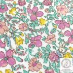 ���̑��̉摜