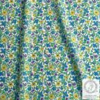 ���̑��̉摜