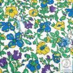 ���̑��̉摜