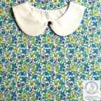 ���̑��̉摜