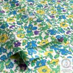 ���̑��̉摜