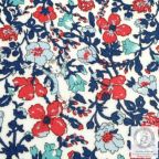 ���̑��̉摜