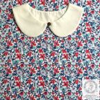 ���̑��̉摜