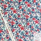 ���̑��̉摜