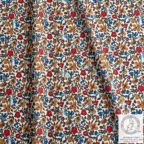 ���̑��̉摜